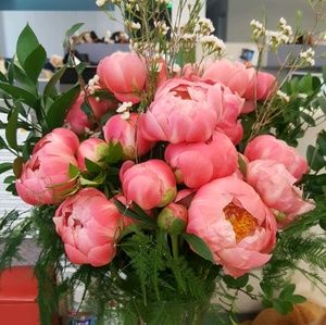 Meet your Posher, Annie